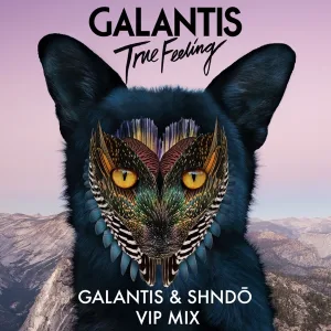 True Feeling (Galantis & Shndö VIP mix)