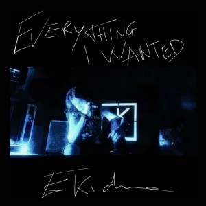 Everything I Wanted