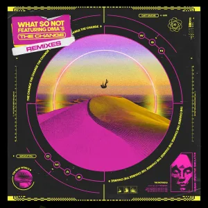 The Change (feat. DMA'S) (Biicla Remix)