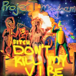 Bitch Don't Kill My Vibe