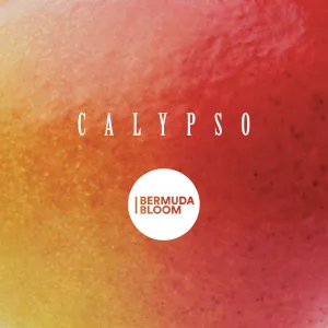 Calypso