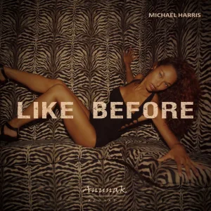 Like Before (Radio Edit)