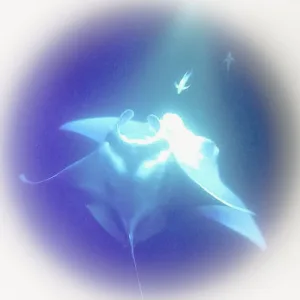 Movers Of The Light