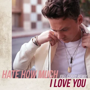 How Much I Love You