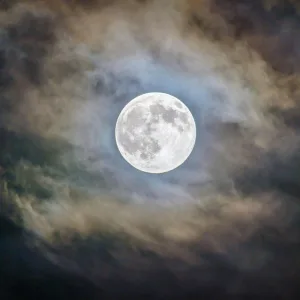 Moonlit Path (Original Music)
