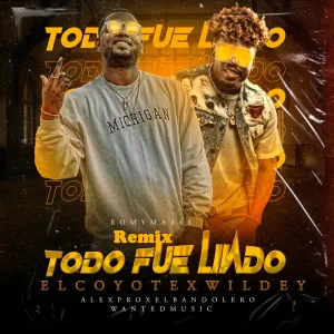 Todo Fue Lindo (feat. Wildey) (Remix)