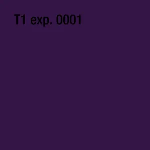 T1 exp. 0001