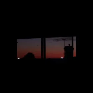 Morning Light