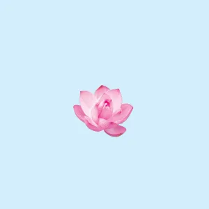SLOW