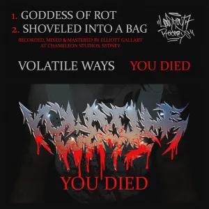 Shoveled Into A Bag