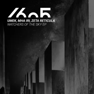 Reticulate (Original Mix)