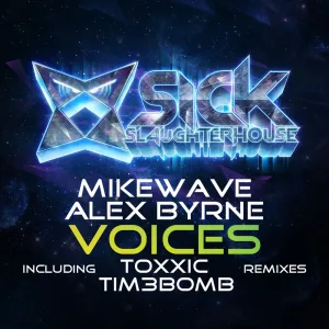 Voices (Toxxic remix)