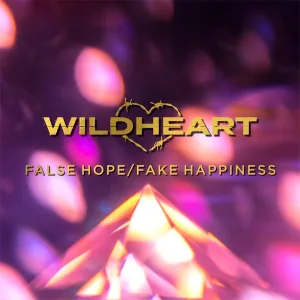False Hope, Fake Happiness