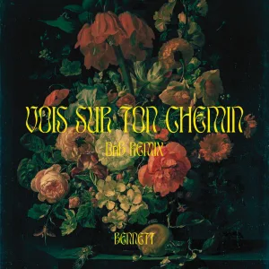 Vois sur ton chemin - DnB Remix
