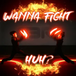 Wanna Fight, Huh?