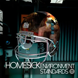 Environment Standards (Original Mix)
