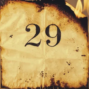 29
