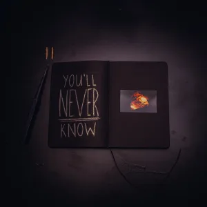 You'll Never Know