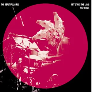 Let\'s Take the Long Way Home artwork