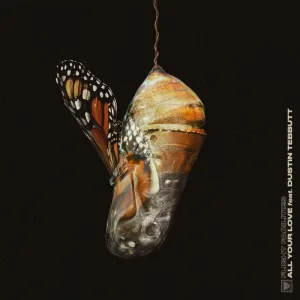 All Your Love (Morgan Page remix)