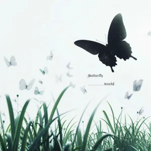 Butterfly World