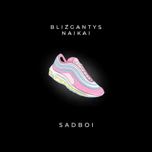 Blizgantys naikai
