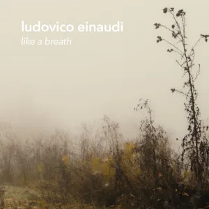 Seven Days Walking / Day 1 : Einaudi: Seven Days Walking / Day 1: Low Mist