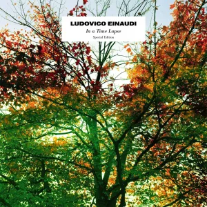 Newton's Cradle