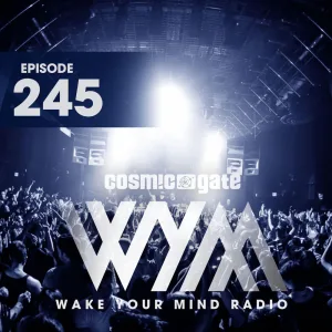 The Maze (WYM245) (Extended Mix)