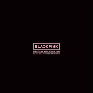 WHISTLE -Acoustic Ver.- (BLACKPINK ARENA TOUR 2018 "SPECIAL FINAL IN KYOCERA DOME OSAKA")