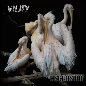 Ascension