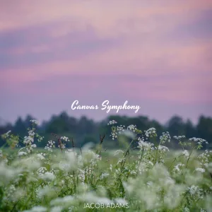 Canvas Symphony
