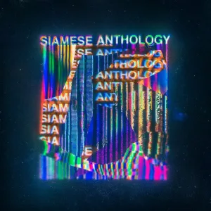 Apology