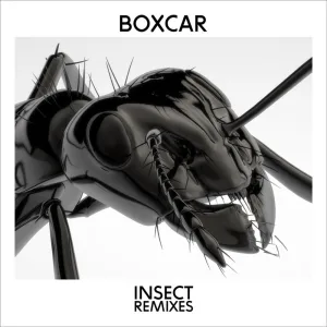 Insect Racic Club Mix