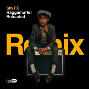 Raggamuffin (feat. Mr. Williamz) (Potential Badboy Remix)