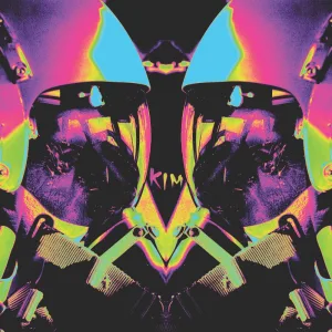 B.T.T.T.R.Y (Bag Raiders remix)