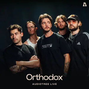 Head on a Spike (Audiotree Live version)