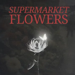 Supermarket Flowers