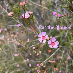 Ca' the Yowes