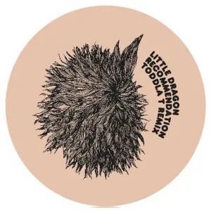 Recommendation (Toddla T remix)