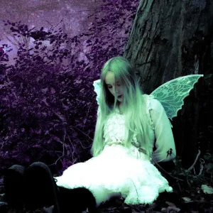 No Fairytales