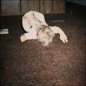 Dog Days