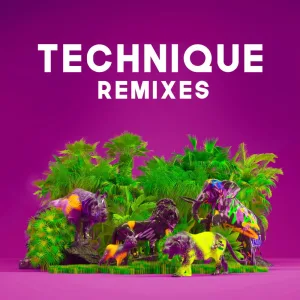 Technique (Dan Aux remix)