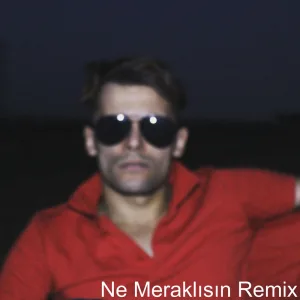 Ne Meraklısın (Remix)