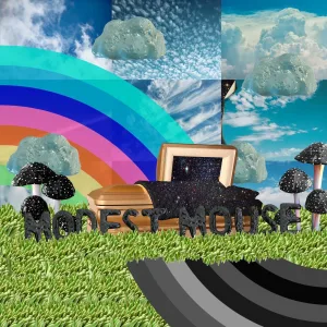 The Acid Trip