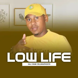 DALI WAMI CELUNGIPHOSTE
