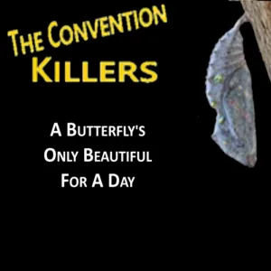 A Butterfly's Only Beautiful for a Day