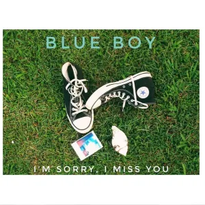 I'm Sorry, I Miss You