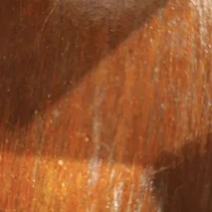 para charli