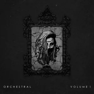 DGAF (Orchestral)